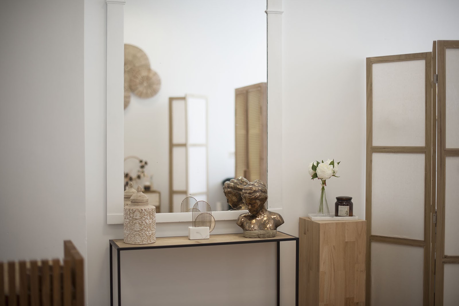 Atelier de Browvision à Genève